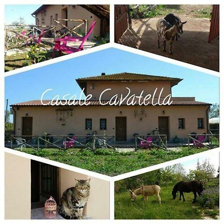 Casale Cavatella Bed & Breakfast Sermoneta Exterior foto